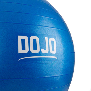 pelota de yoga dojo 65cm grande