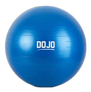 pelota de yoga dojo 65cm