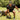Kettlebell / Pesas Rusas DOJO
