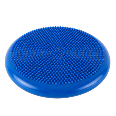 mini bosu dojo