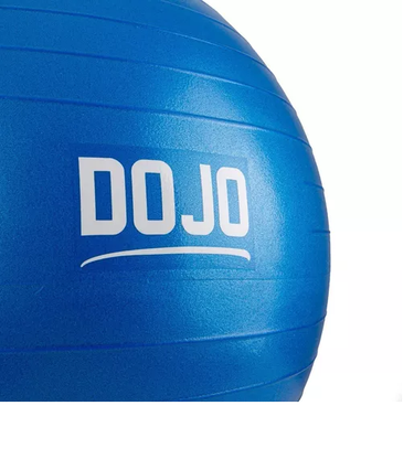 pelota de yoga 65 cm dojo
